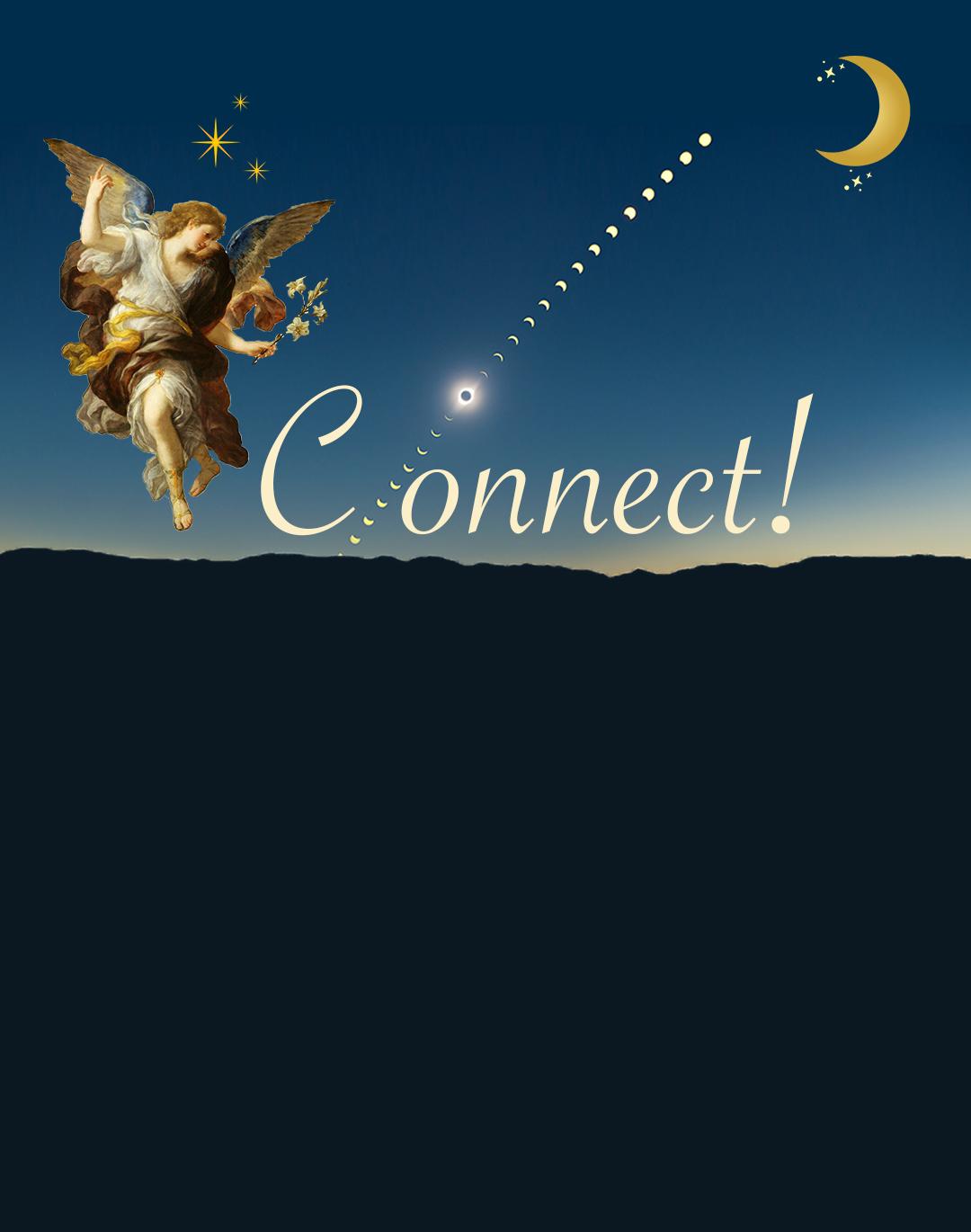 Contact header artwork